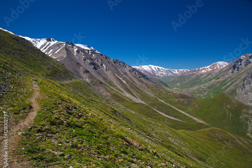 Green grassy mountain valley with ice peaks, Central Tien-Shan