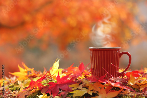
Blurred autumn tree background with hot steaming cup of coffee/tea. (place for text, shallow DOF). 