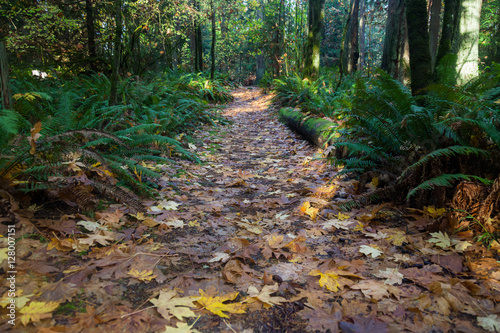 Hiking trails in the Pacific Northwest Manchester State Park Washington
