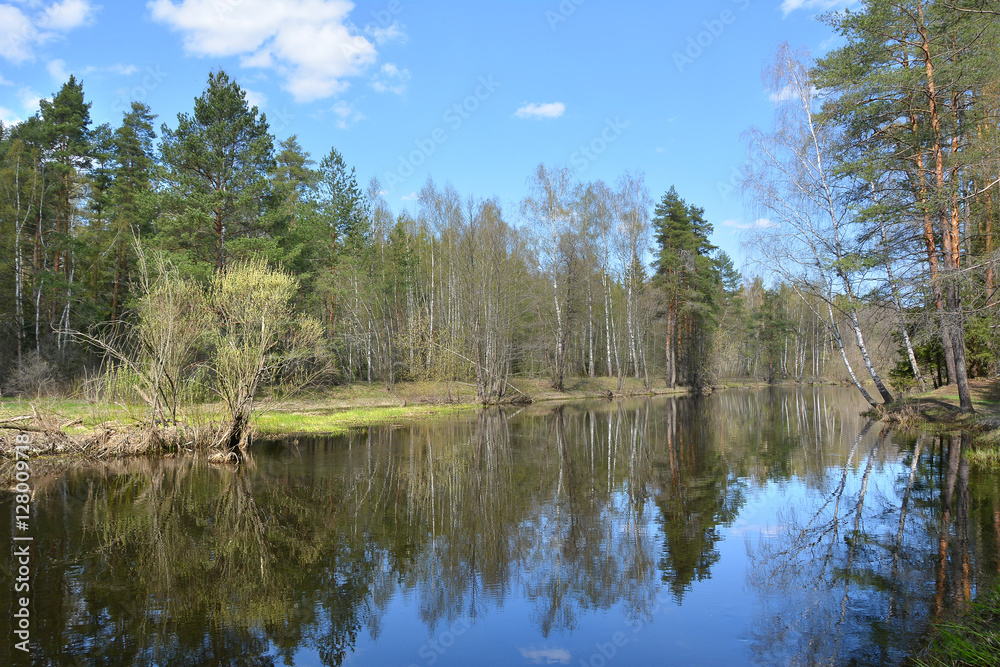 Obraz premium April on the river
