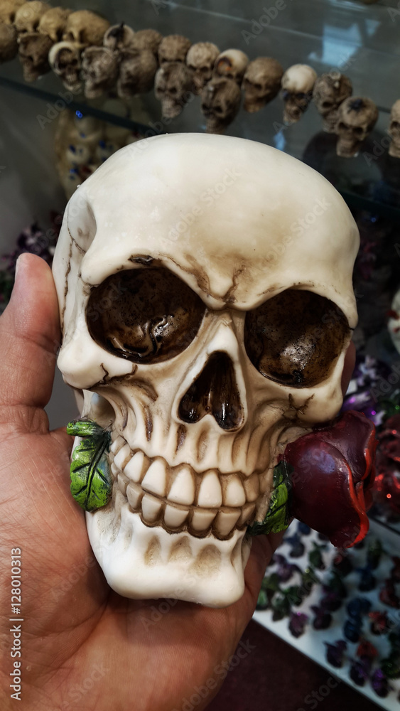 Skull with rose Skull with rose