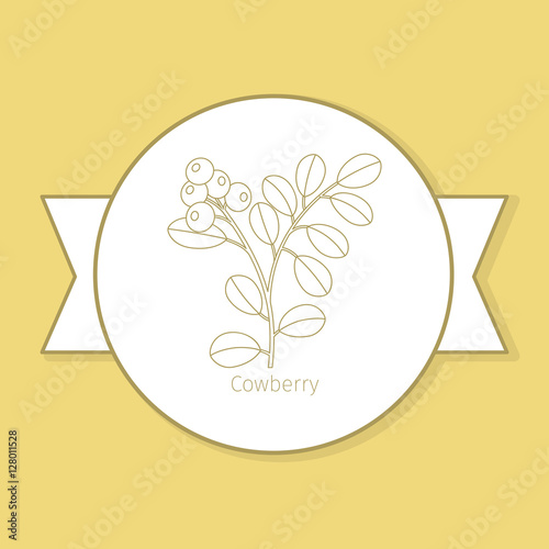 Cowberry medicine plant, yellow label design in circle shape. Vector illustration