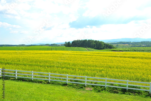 Green Fields Landscape © karinkamon