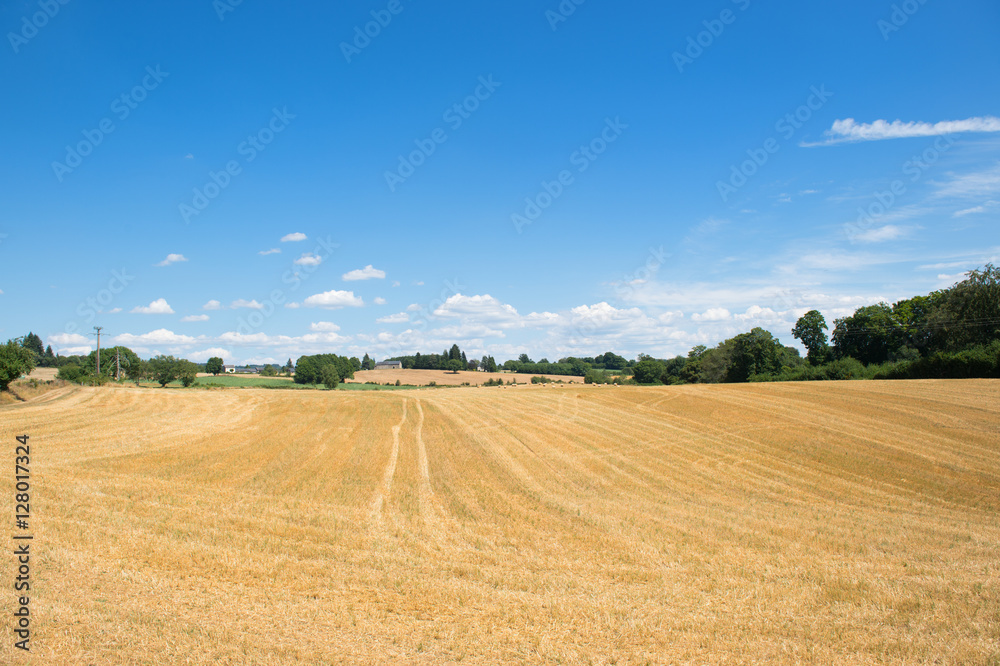 Agriculture landscape in France