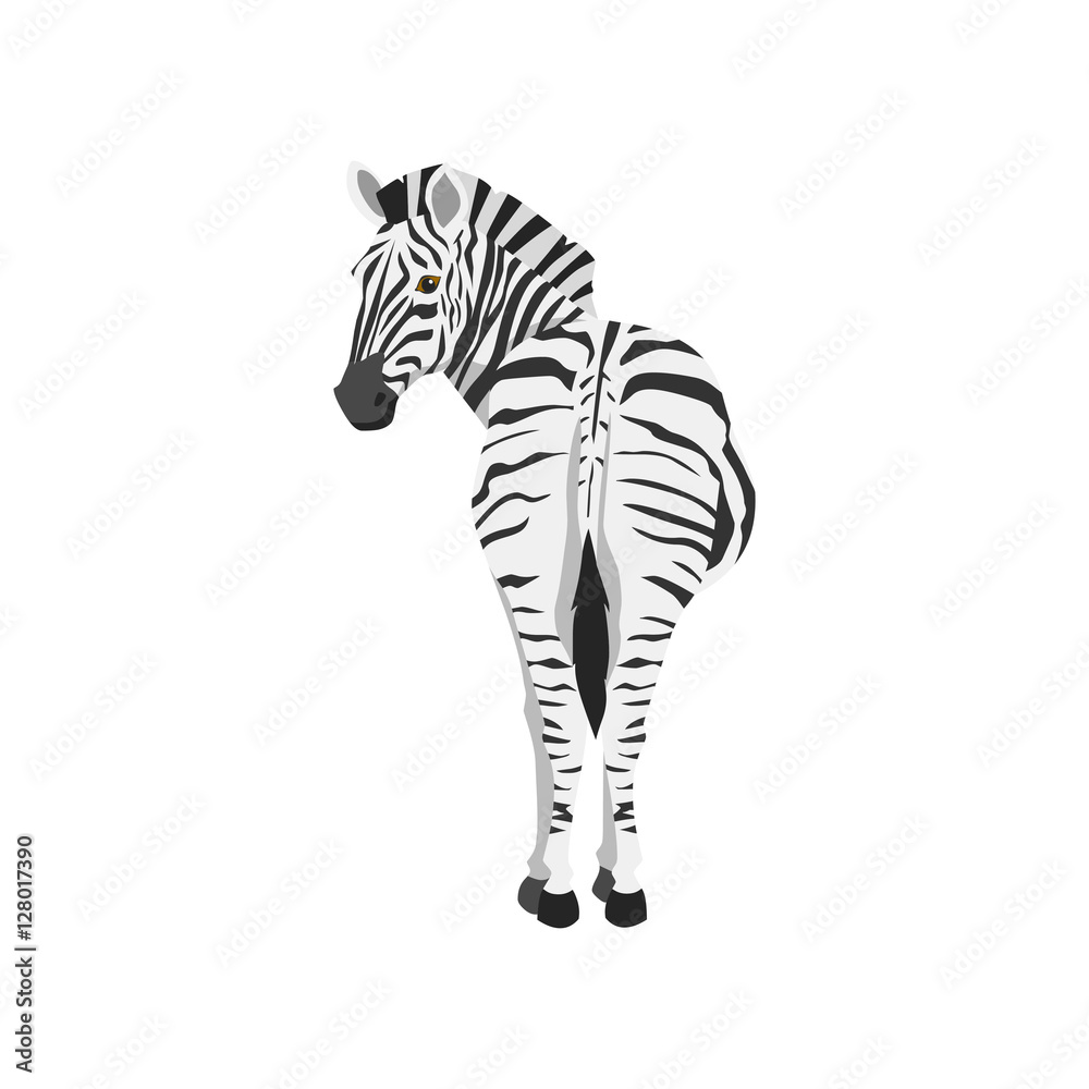 zebra illustration. back view - obrazy, fototapety, plakaty 
