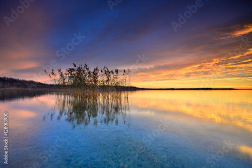 Stiller See bei Sonnenaufgang  Blick durchs klare Wasser auf den Grund des Sees  Schilf spiegelt sich