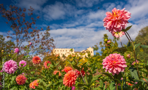 The Botanic Gardens of Trauttmansdorff Castle, Merano, Italy, offer many attractions with botanical species and varieties of plants from all over the world