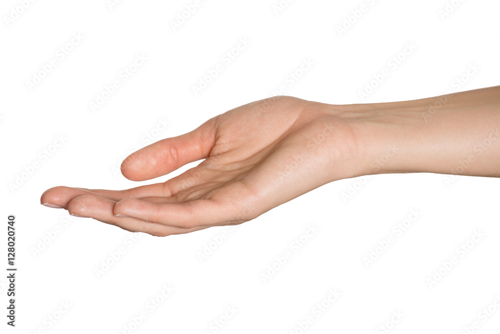 Empty open woman hand. Isolated on white background. Empty open woman hand. Isolated on white background.
