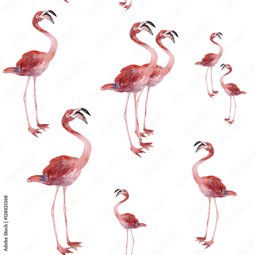 Obraz premium Seamless pattern of flamingo on a white background, watercolor
