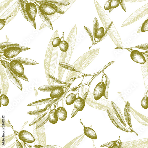Olives seamless pattern color sketch style vector hand drawn background, olive branches with leaves over white backdrop. Italian food. All elements isolated.
