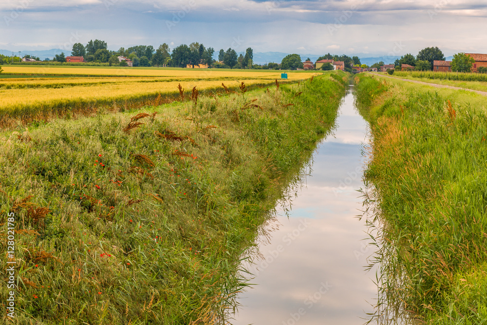 Fototapeta premium fields in countryside
