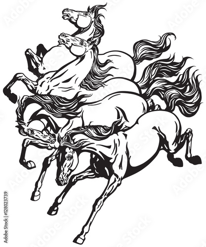 Horses. Four running wild mustangs. Black and white tattoo vector © insima
