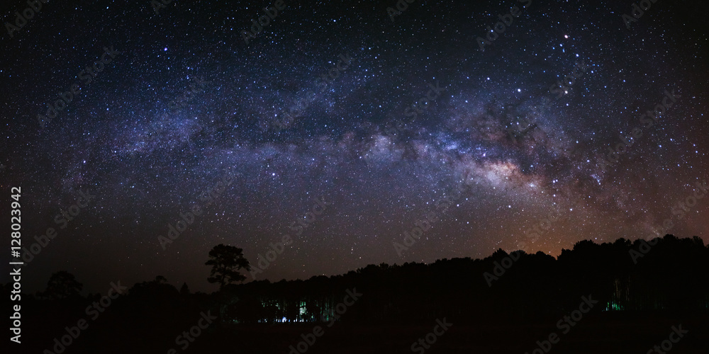 Fototapeta premium Panorama milky way and silhouette of tree at Phu Hin Rong Kla Na