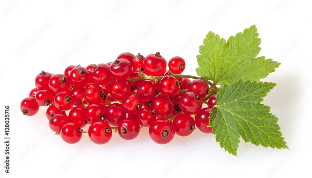 Red currant with green leaves isolated on white background Red currant with green leaves isolated on white background