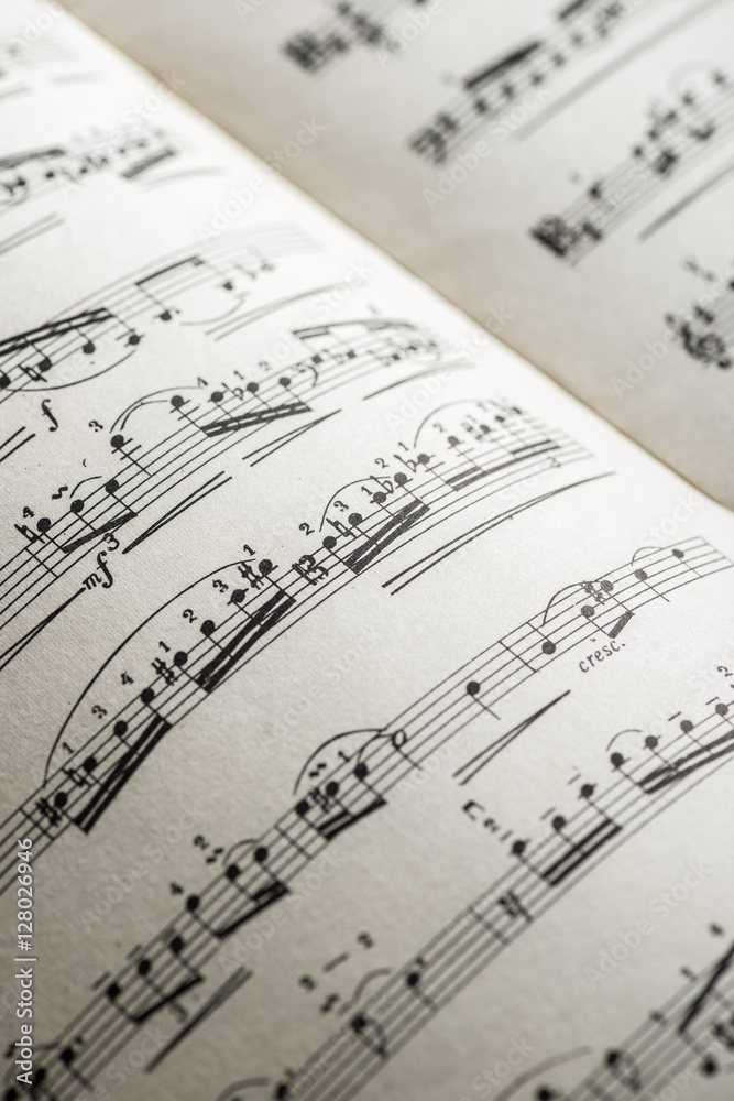 Music notation book. Page with music notes Music notation book. Page with music notes