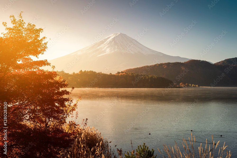 Maple and mount Fuji at Kawaguchiko Japan.