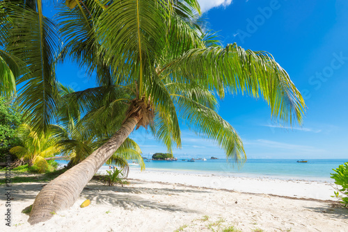 Fototapeta Naklejka Na Ścianę i Meble -  Beautiful tropical beach