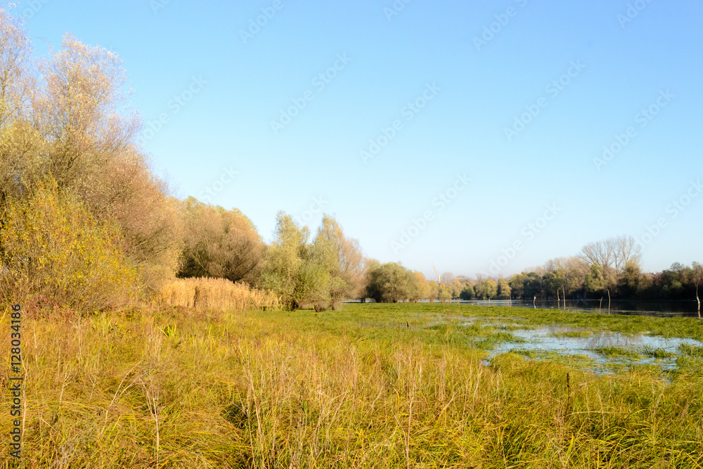 Naklejka premium Lake in their autumn colors