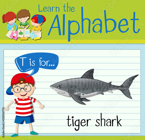 Flashcard letter T is for tiger shark