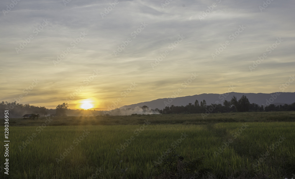 View of fields in rural Thailand and sunset