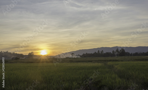 View of fields in rural Thailand and sunset © supanee2550