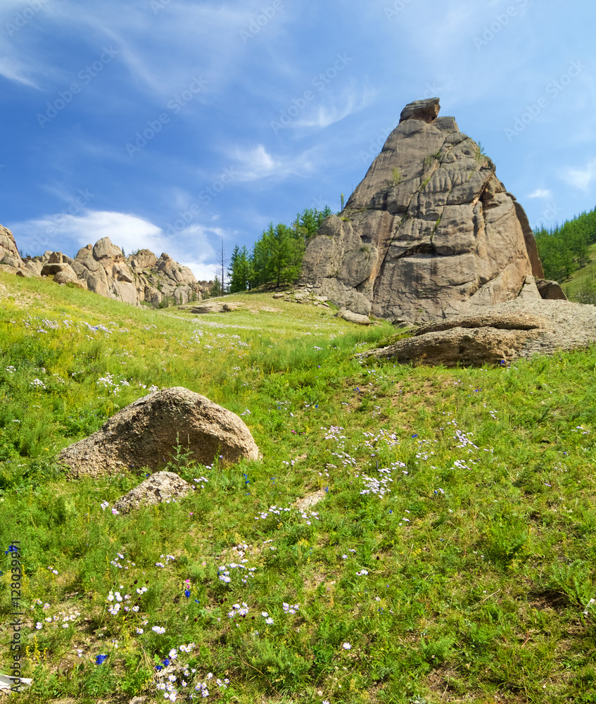 Mongolian landscape