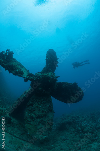 sunken ship wreck underwater diving Sudan Red Sea