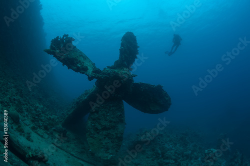 sunken ship wreck underwater diving Sudan Red Sea