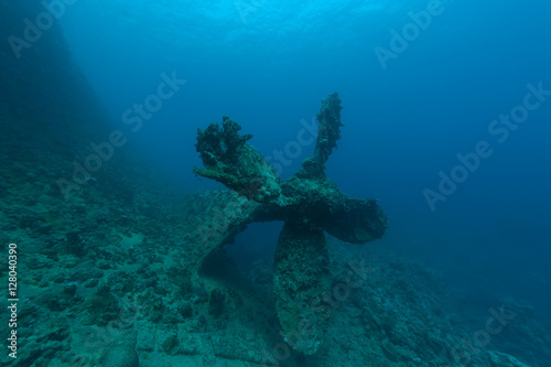 Wallpaper Mural sunken ship wreck underwater diving Sudan Red Sea Torontodigital.ca