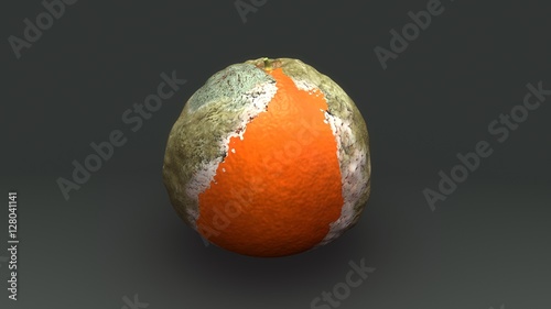 Canvas Print Rotten orange