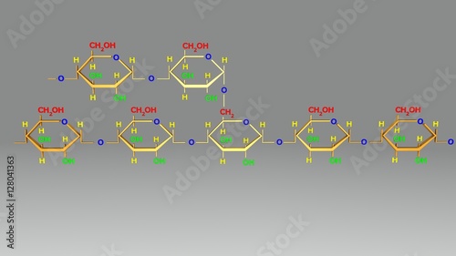 Amylopectin structure photo