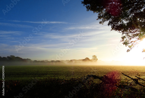 Misty morning on the fields