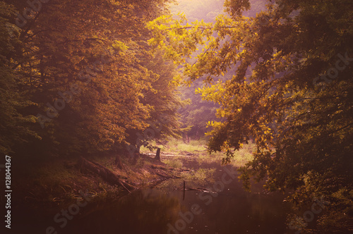 Morning fog on the lake in autumn forest