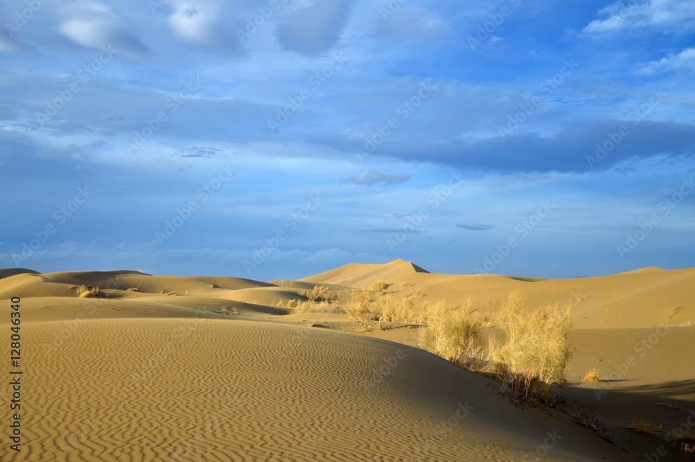 desert landscape under dramatic sky