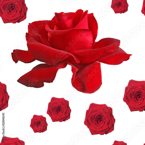 seamless pattern repeat  red rose