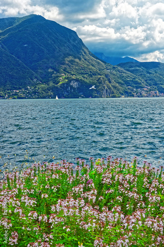 Botanical garden at promenade in Lugano in Ticino Switzerland
