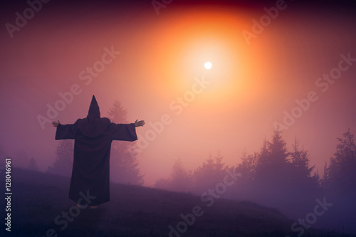 Fotografie Fairy wizard in a black cassock