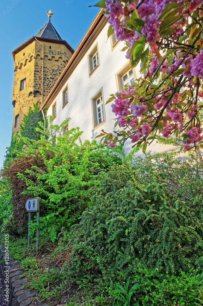 Castle in Linz am Rhein of Germany