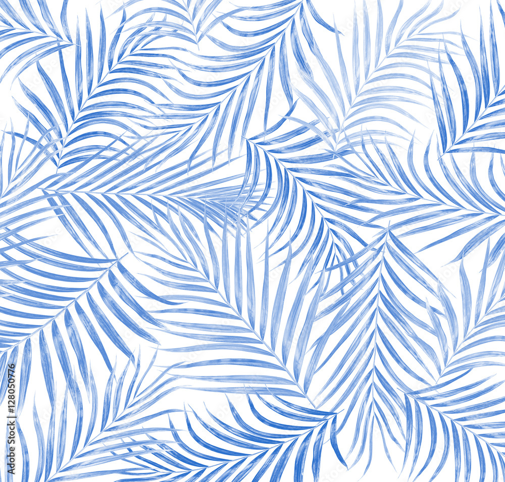 Naklejka premium leaf of palm tree background