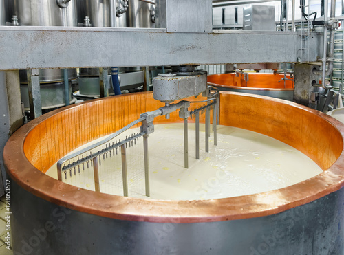 Production of Gruyere de Comte Cheese in dairy of France photo