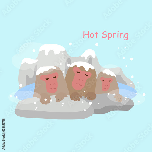 monkey with hot Spring photo