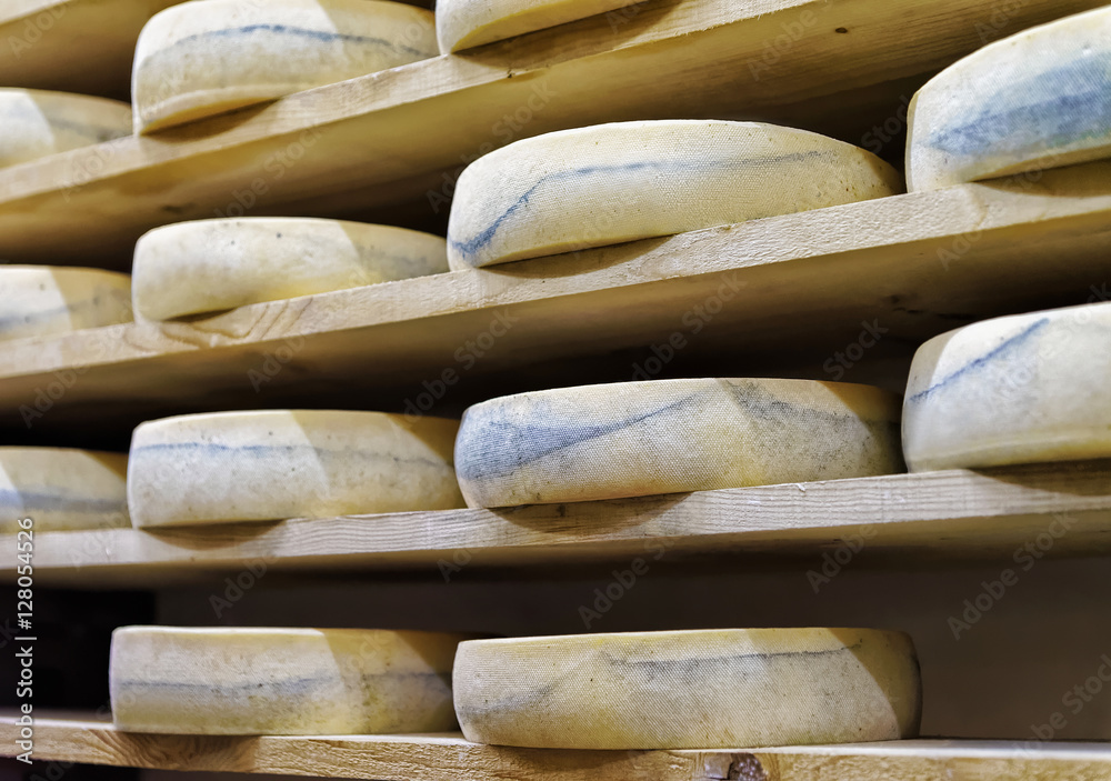 Shelves of aging Cheese at maturing cellar of Franche Comte