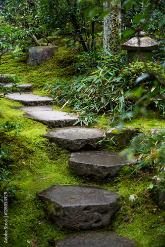 Step Stones in Nature