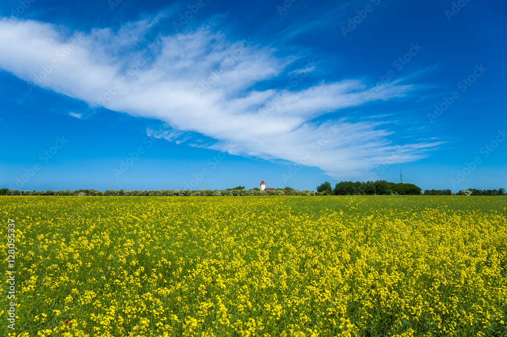 Leuchtturm bei Westermarkelsdorf auf Fehmarn