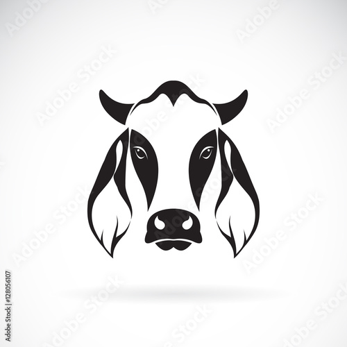 Vector of cow head design on white background. Cow logo