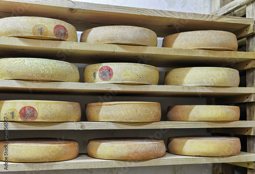 Wheels of aging Cheese in maturing cellar Franche Comte dairy
