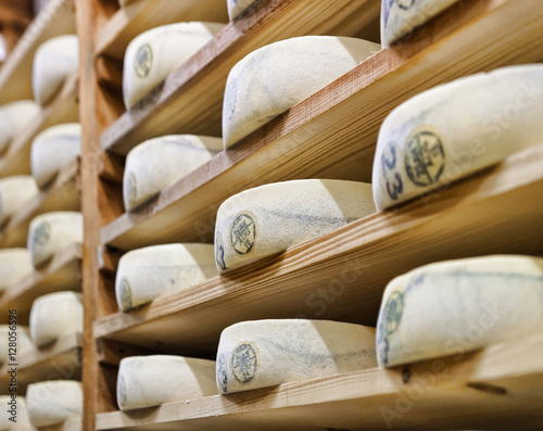 Wheels of aging Cheese in ripening cellar Franche Comte dairy