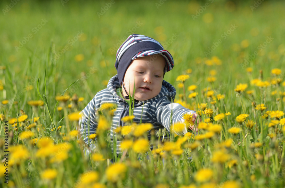 Beautiful happy little boy sitting on green meadow with yellow f Beautiful happy little boy sitting on green meadow with yellow f