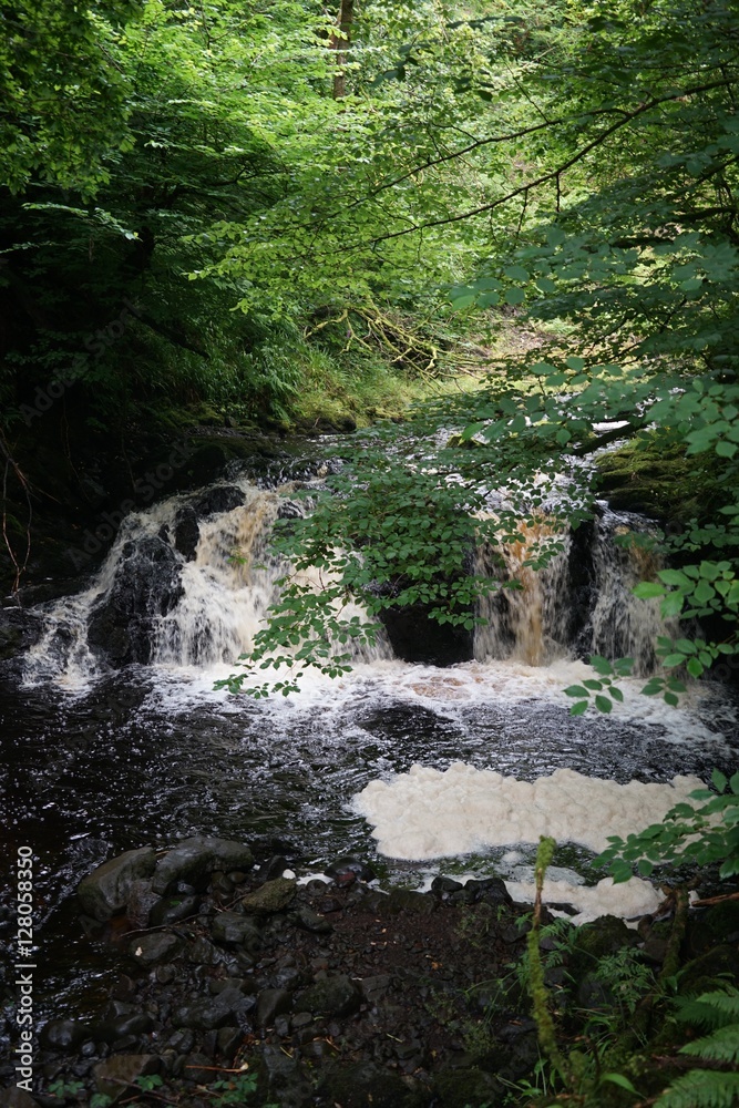 Wasserfall im Glenariff National Park / Nordirland Wasserfall im Glenariff National Park / Nordirland