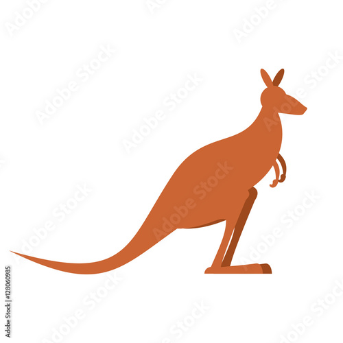 Kangaroo isolated. wallaby on white background. Australian anima